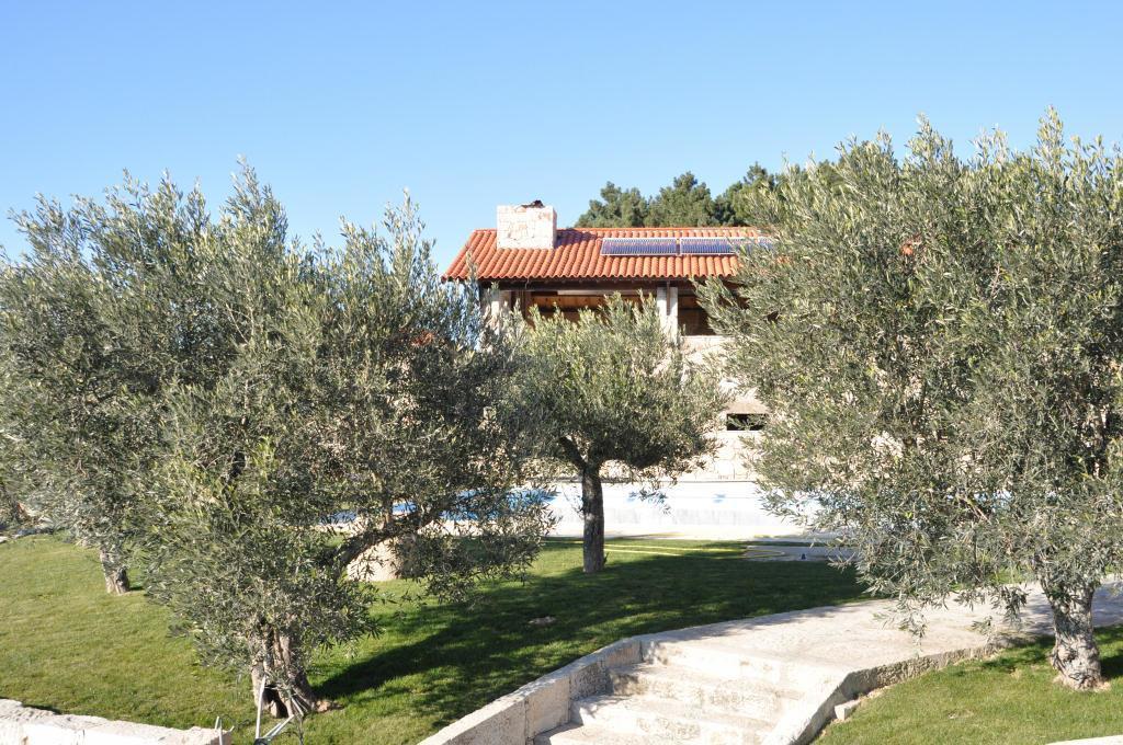 Quinta Do Olival Konuk evi Vilas Boas  Dış mekan fotoğraf